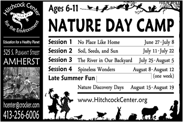 Summer Camp Ad